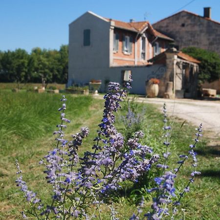 Le Mas Marguerite Arles Eksteriør billede
