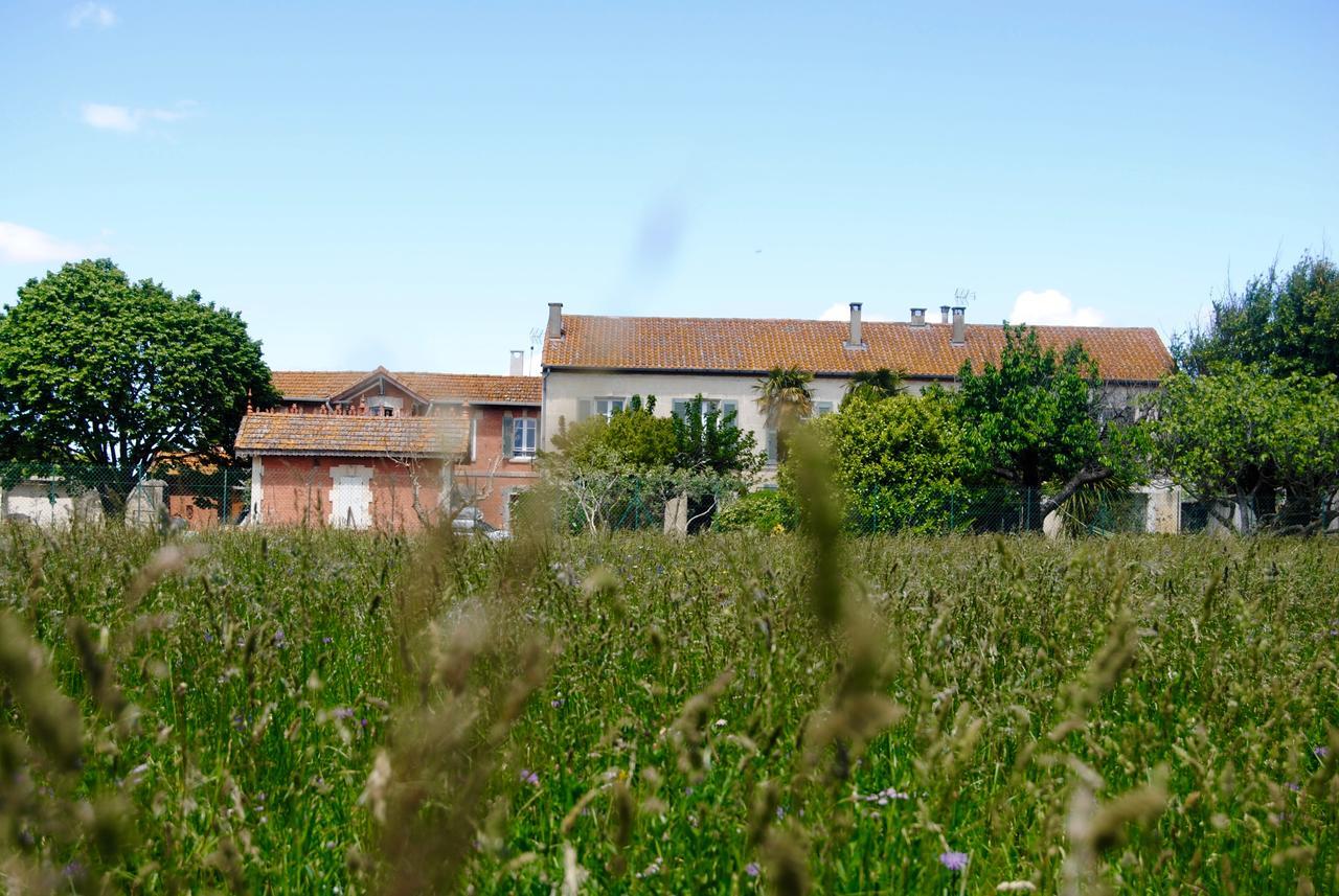Le Mas Marguerite Arles Eksteriør billede